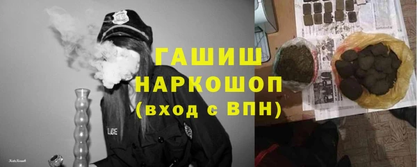 крисы Алзамай
