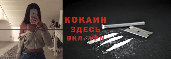 соль ск Алексин