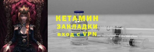 крисы Алзамай